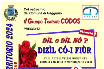 D&#236;l o D&#236;l n&#242;? Diz&#236;L C&#243;- I Fi&#249;r - 24 maggio - EVENTO POSTICIPATO