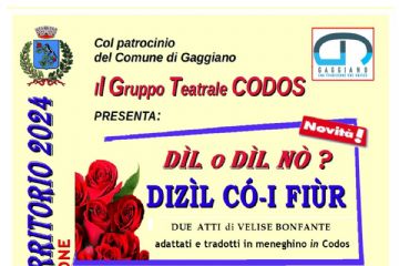 D&#236;l o D&#236;l n&#242;? Diz&#236;L C&#243;- I Fi&#249;r