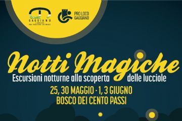 Notti Magiche 2022