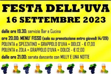 Festa dell&#39;uva